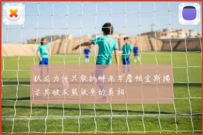 狄龙为何只敢挑衅老年詹帕金斯揭示其被灰熊放弃的真相