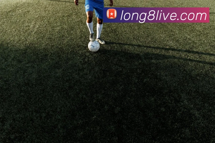 App Interface Preview