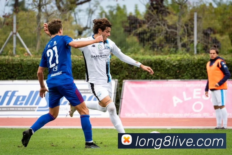 龙8集团APP 封面图